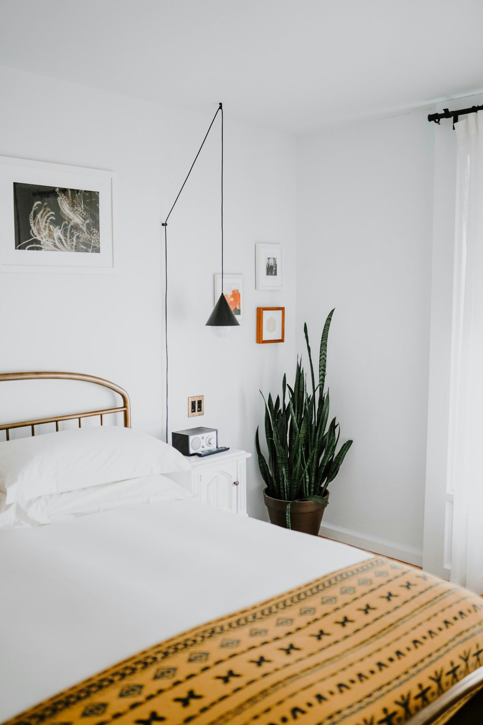 Chambre lumineuse et plante verte